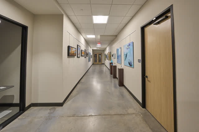 Gallery corridor with local art