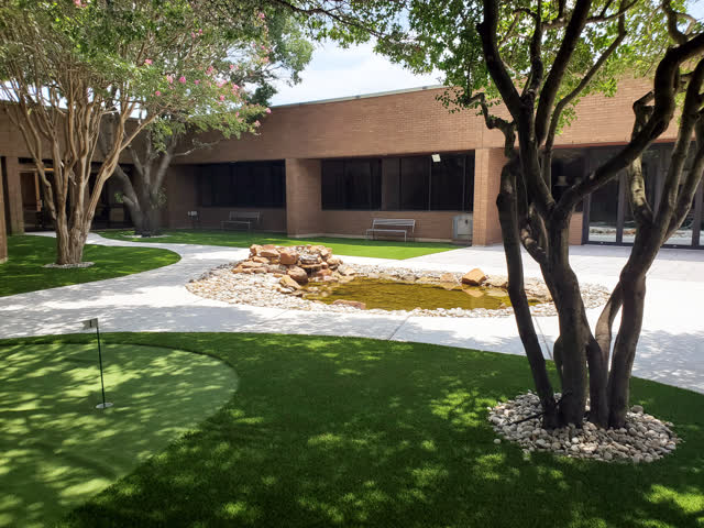 Courtyard garden and walkway