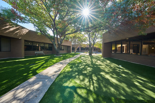 Tree-lined courtyard