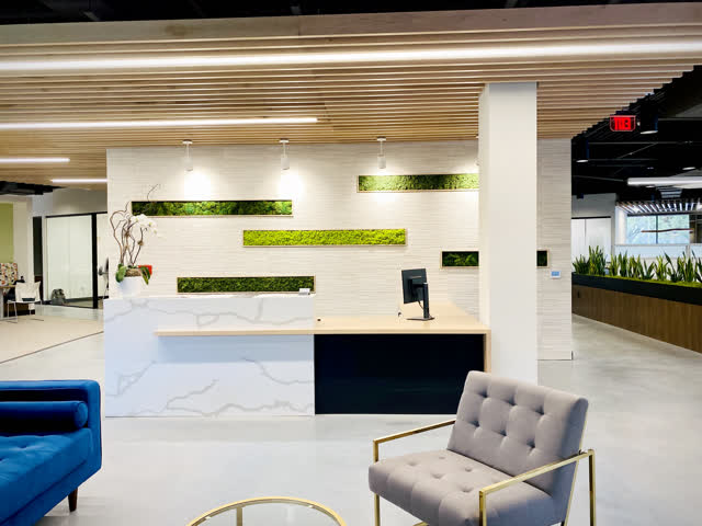 Reception desk with living moss wall